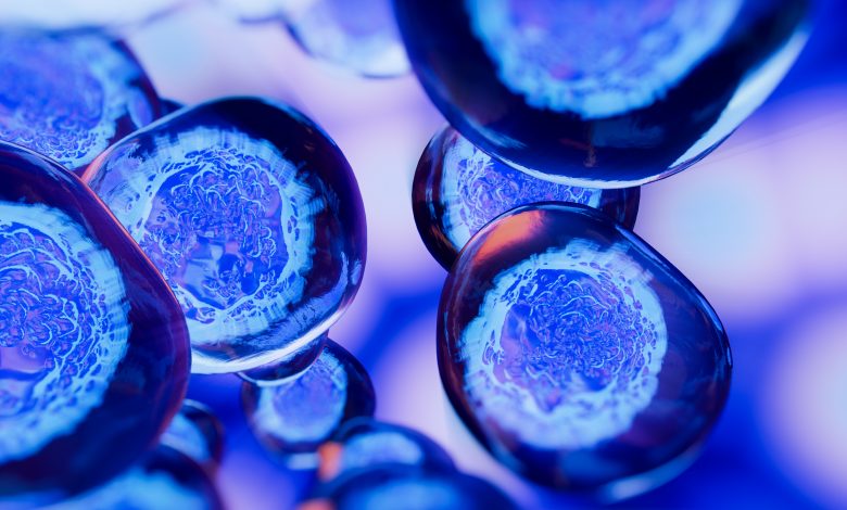 stem cell therapy uk